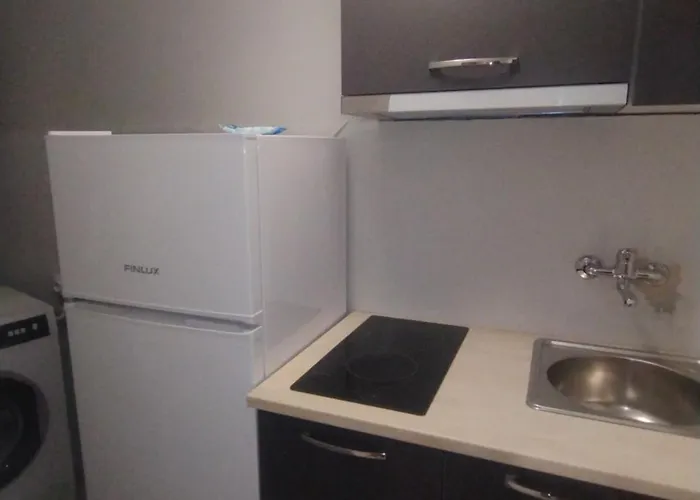 за гости иричек Apartment *